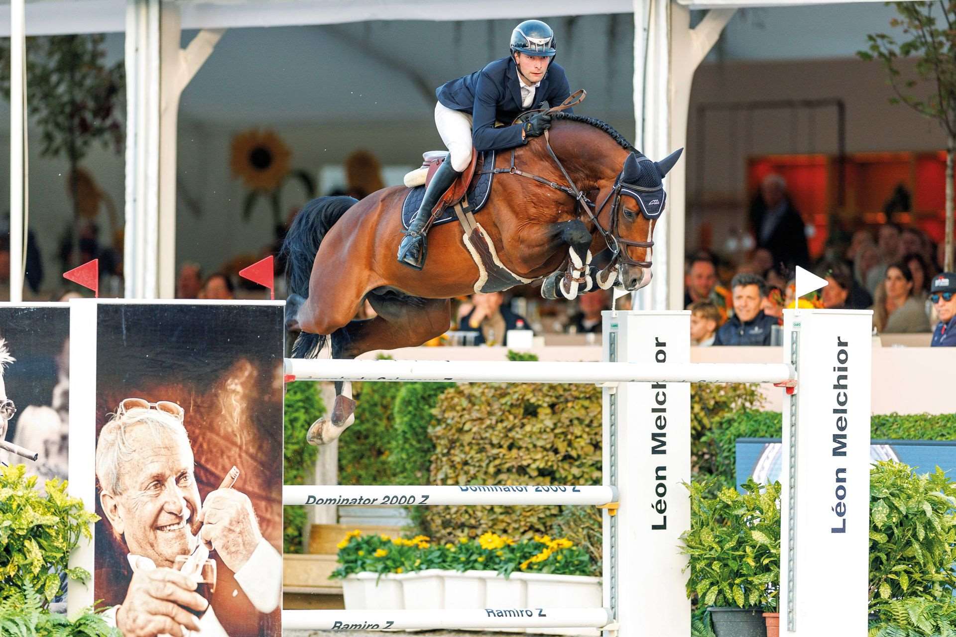 Chaloubino PS OLD Stallion